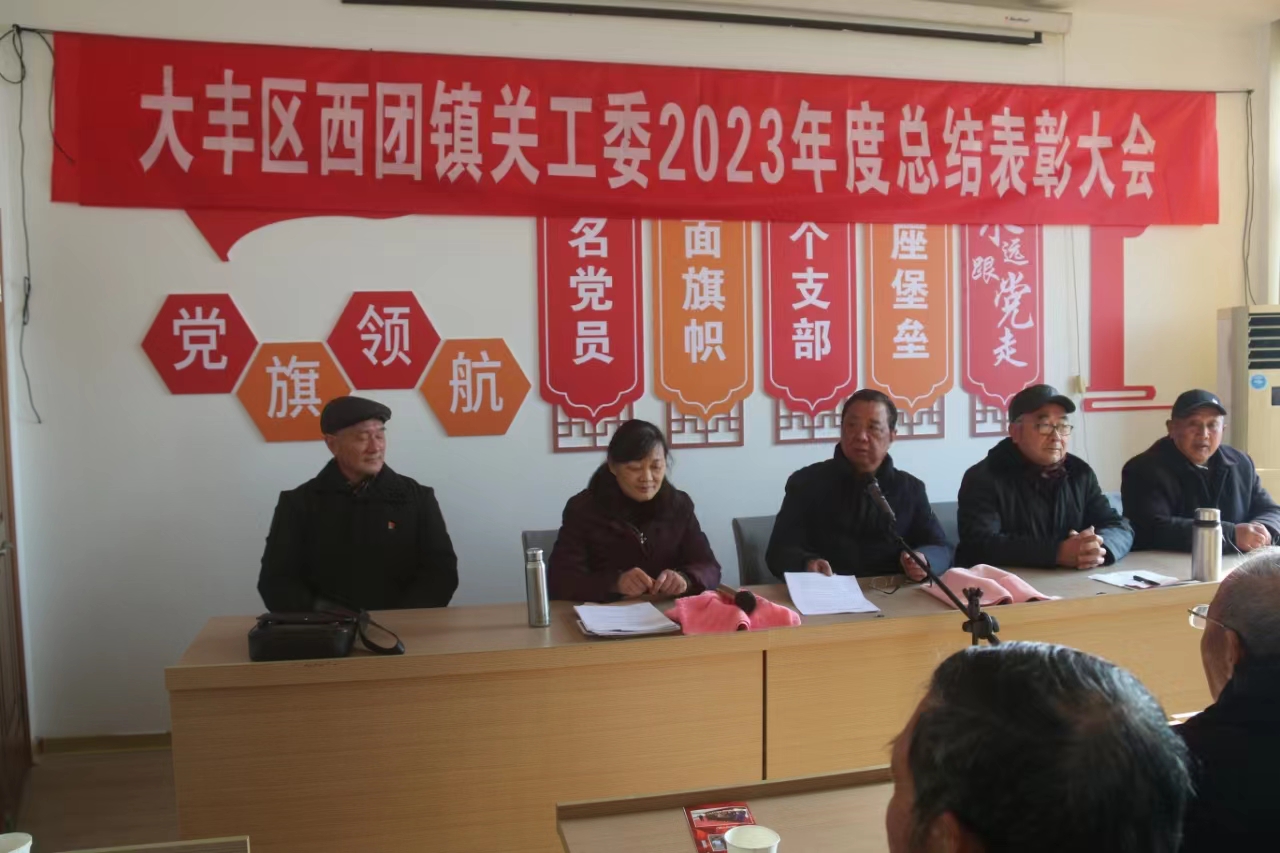 大丰区西团镇用心用情推动关心下一代工作持续升温