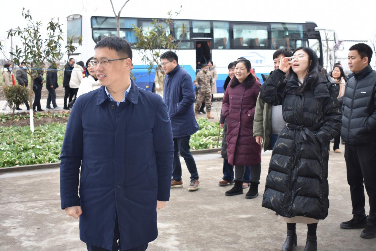 大丰区西团镇三个坚持强势推进乡村振兴