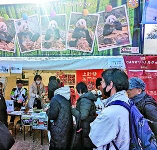 【四海同春】熊猫：春节庆典的主题