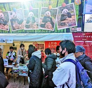 【四海同春】熊猫:春节庆典的主题 【四海同春】熊猫:春节庆典的主题