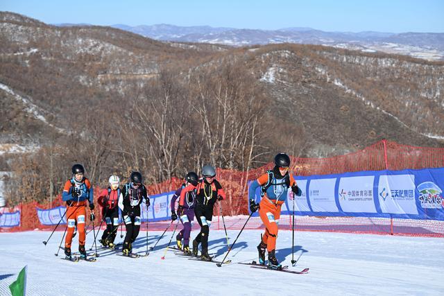 2月1日,第十四届全国冬季运动会滑雪登山公开组混合接力比赛在内蒙古呼伦贝尔市扎兰屯金龙山滑雪场举行。新华社记者 贝赫 摄