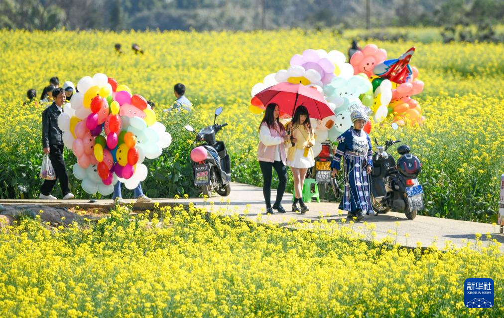 2月17日，游客在贵州省兴义市万峰林景区的油菜花海中游玩。
近期，贵州、广西、云南、湖南等地油菜花盛开，散发浓浓春意。
新华社发（刘朝富摄）