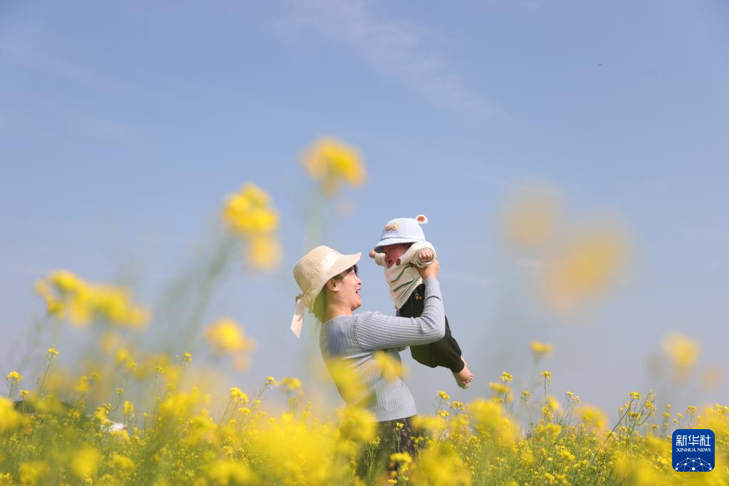 2月16日，游客在广西南宁市宾阳县大桥镇的油菜花田里游玩。
近期，贵州、广西、云南、湖南等地油菜花盛开，散发浓浓春意。
新华社发（刘峥摄）