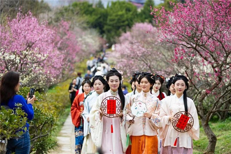 第28届南京国际梅花节开幕6条定制赏梅线路等您同游共赏