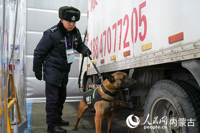呼伦贝尔边境管理支队“巴尔虎突击队”民警叶朝勒门带领警犬,对比赛场馆内全部区域开展安全检查和危爆物品排查。公文博摄