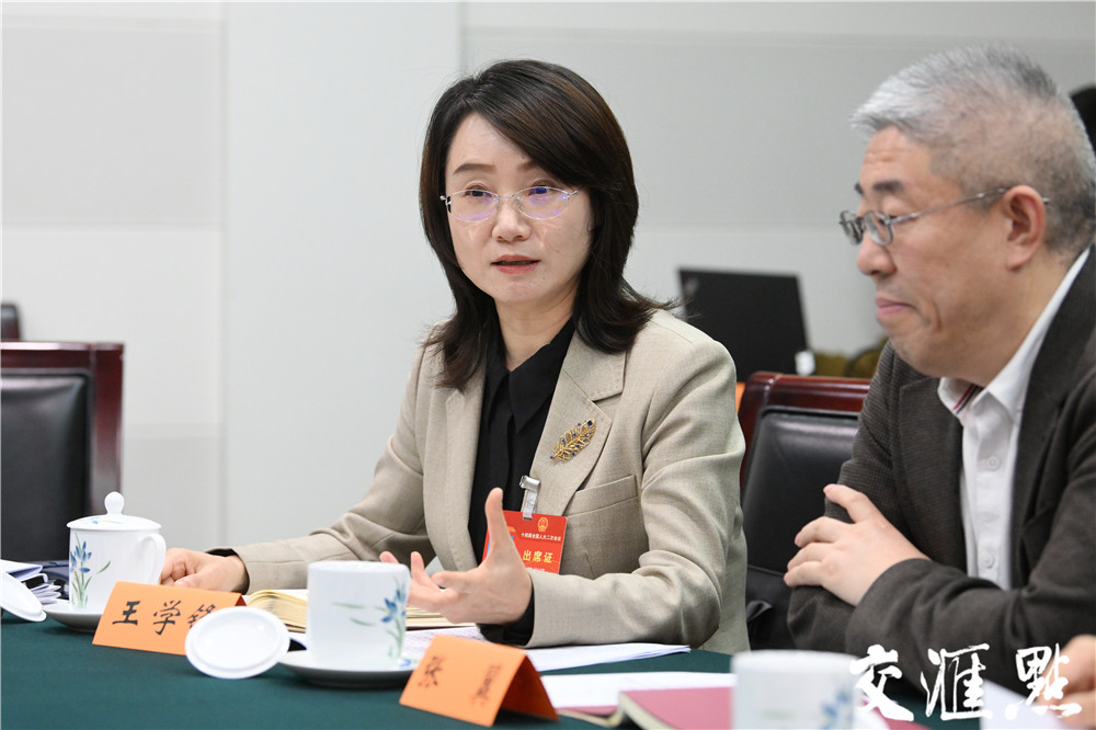 两会她力量全国人大代表和政协委员们传递巾帼好声音