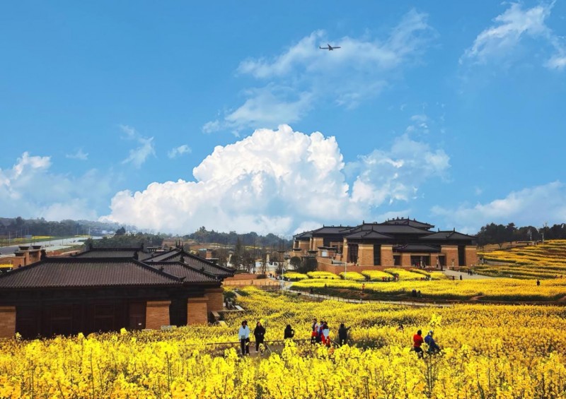 四川成都市双流区周末精品旅游路线发布