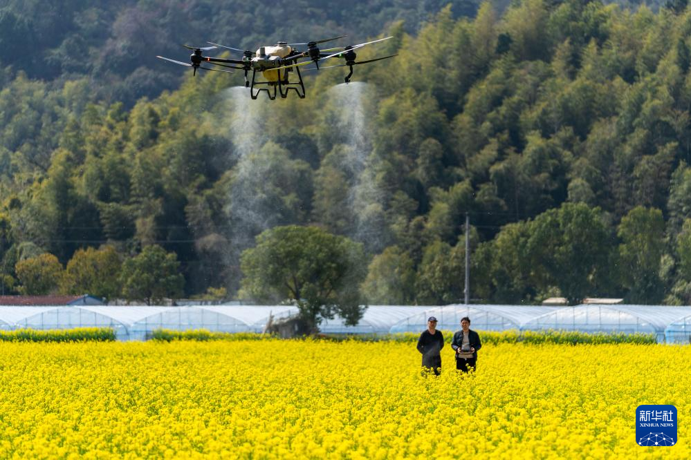   3月8日，浙江省瑞安市穗博农机合作社工作人员在田野上调试农业无人机。
  春暖时节，各地农民抢抓时节忙农事，一派春日农忙景象。
  新华社发（孙凛摄）