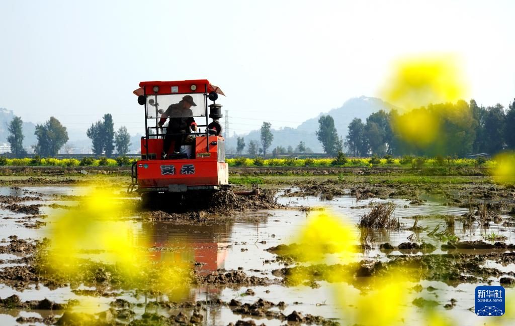   3月8日，在浙江省乐清市城东街道的农田里，农机手驾驶农机耕田。
  春暖时节，各地农民抢抓时节忙农事，一派春日农忙景象。
  新华社发（蔡宽元摄）