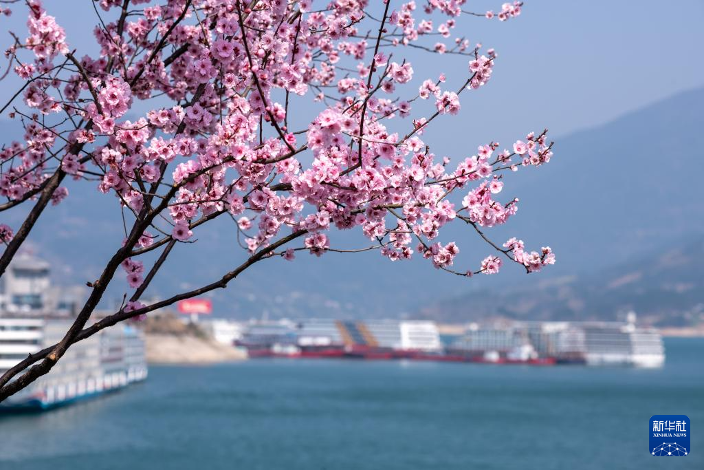 春到三峡，山花盛开，江水碧绿，船舶航行江面，构成一幅幅美丽的图画。