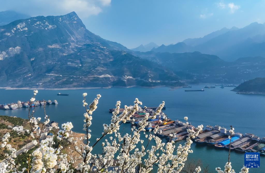 3月11日，船舶停靠在长江三峡湖北省宜昌市秭归县水域（无人机照片）。