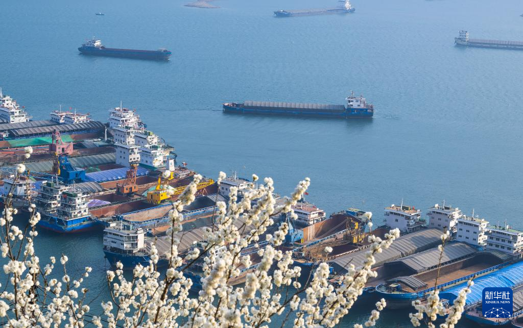 3月11日，船舶停靠在长江三峡湖北省宜昌市秭归县水域。