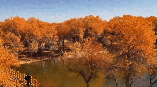 文博日历丨好物出和田愿你走过山海一片毯途