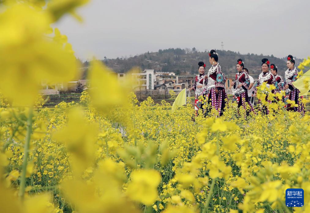 3月22日,人们在贵州省黔东南苗族侗族自治州施秉县城关镇上翁哨村油菜
