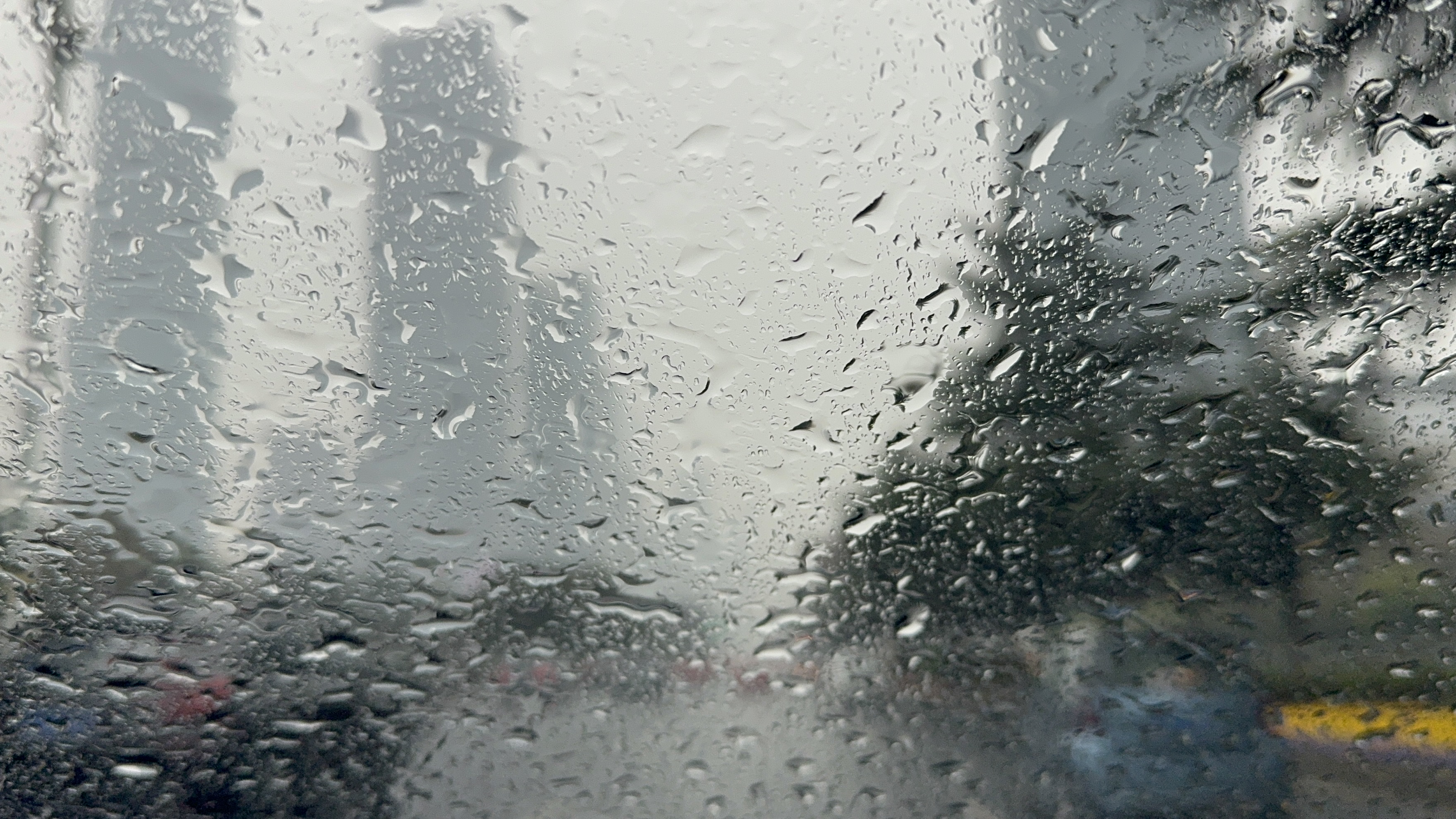 未来三天雨水是常客气温持续下降