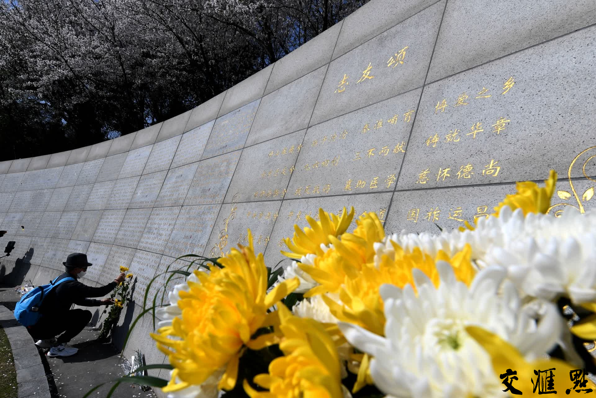 截至目前，江苏省遗体和人体器官捐献登记人数累计达到49.8万人。