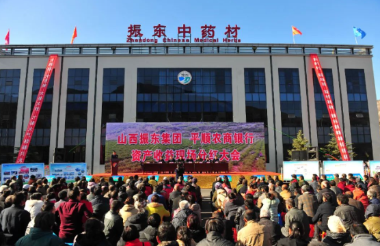 振东集团李安平企业文化筑基成就辉煌事业