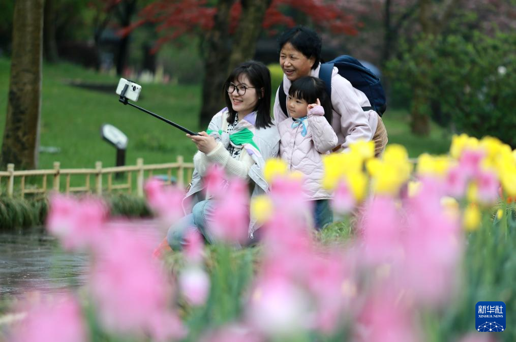 4月8日，游客在江苏扬州瘦西湖风景区赏花拍照。