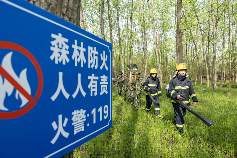 2024年4月9日,合肥市大房郢水库水源保护地庐阳经济开发区段,基干民兵正在林间巡查火灾隐患。