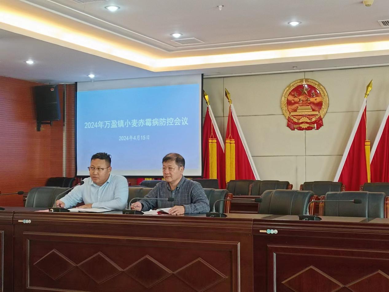 大丰区万盈镇扎实开展小麦穗期病虫害防治工作