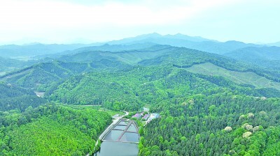 分得宜春地 东偏一画屏——江西省分宜县院地共促科研转化助推乡村振兴 分得宜春地 东偏一画屏——江西省分宜县院地共促科研转化助推乡村振兴