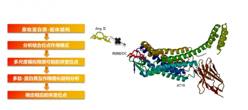 樊文花重磅合作浙江清华长三角研究院衰老科学创新