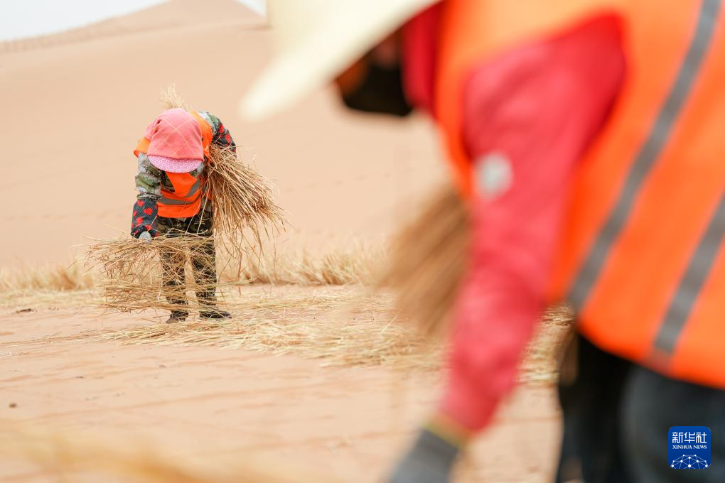 4月27日，治沙工人用稻草在沙漠中扎草方格。