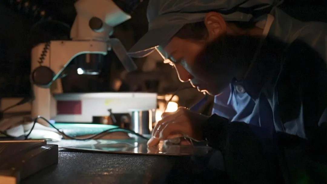 11.jpg?x-oss-process=style/w10