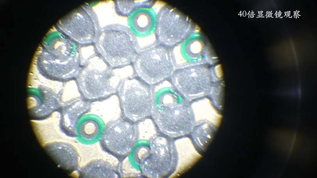 5.jpg?x-oss-process=style/w10