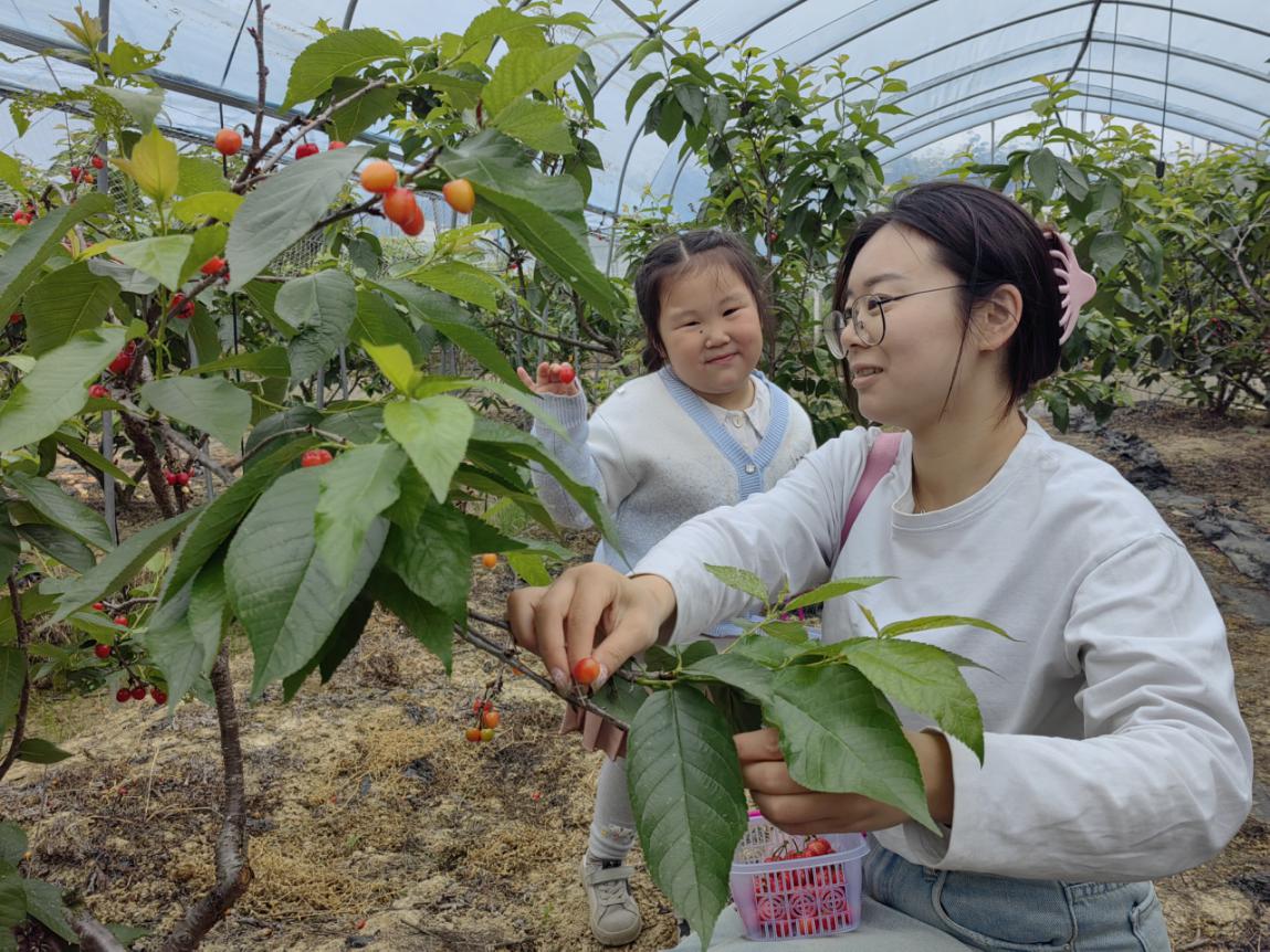 38c200bcad7a2b0b06738f0c0c45f6a