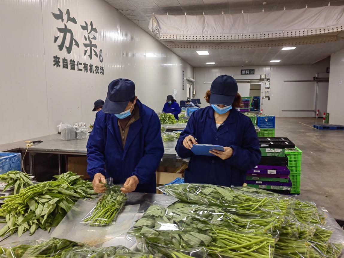 7a3762da1f2c0bcf6853dbc03633a05