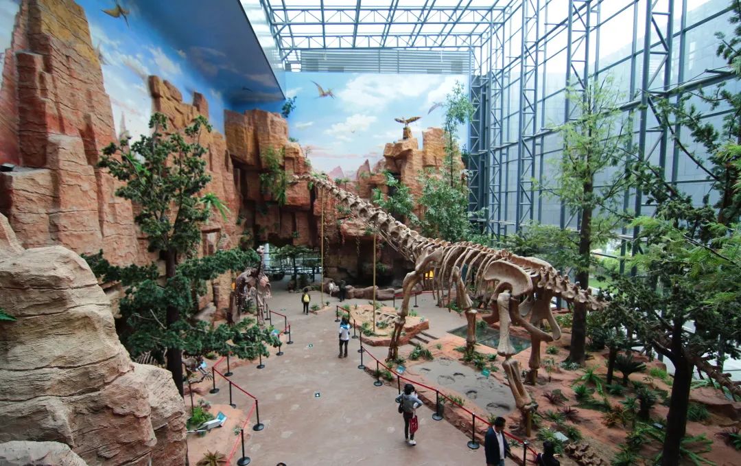 北京恐龙博物馆门票图片