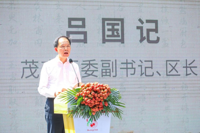 当前,茂南区荔枝营销活动正在为千年古荔注入活力.