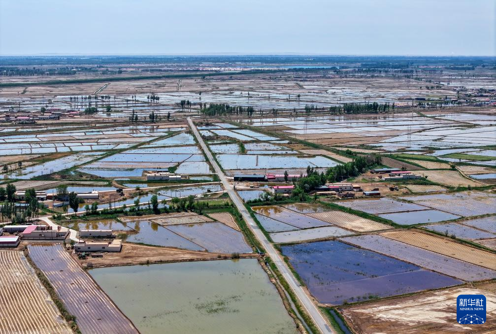这是在巴彦淖尔市临河区乌兰图克镇，黄河水用于灌溉农田（5月26日摄，无人机照片）。新华社记者 连振 摄