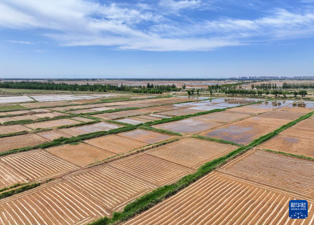 这是在巴彦淖尔市临河区双河镇拍摄的农田（无人机照片，5月26日摄）。新华社记者 连振 摄