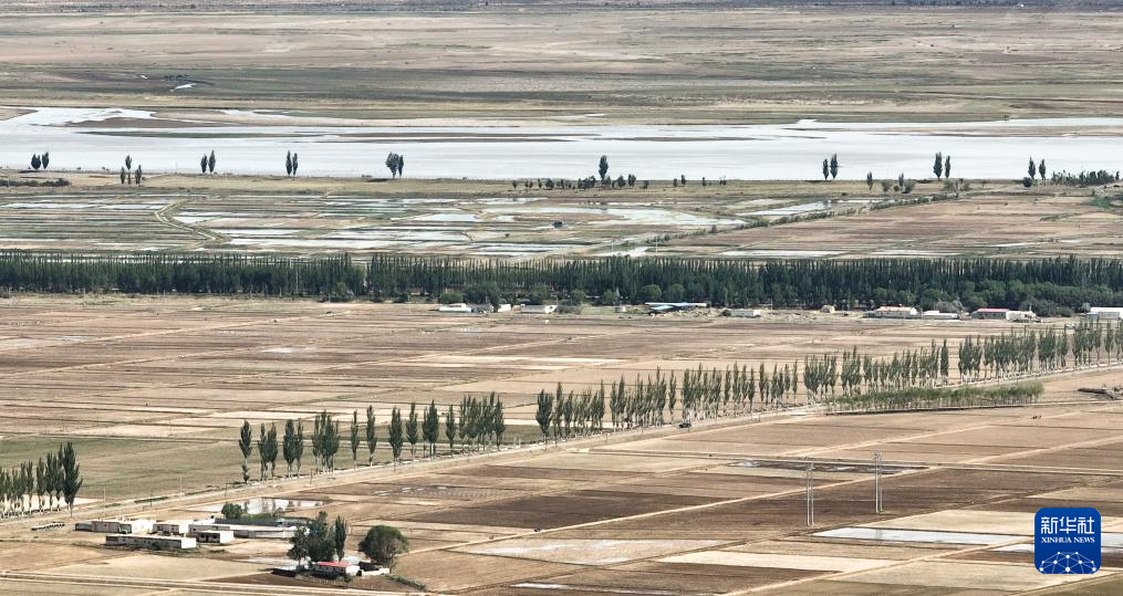 这是5月26日在巴彦淖尔市临河区拍摄的农田（无人机照片）。新华社记者 贝赫 摄