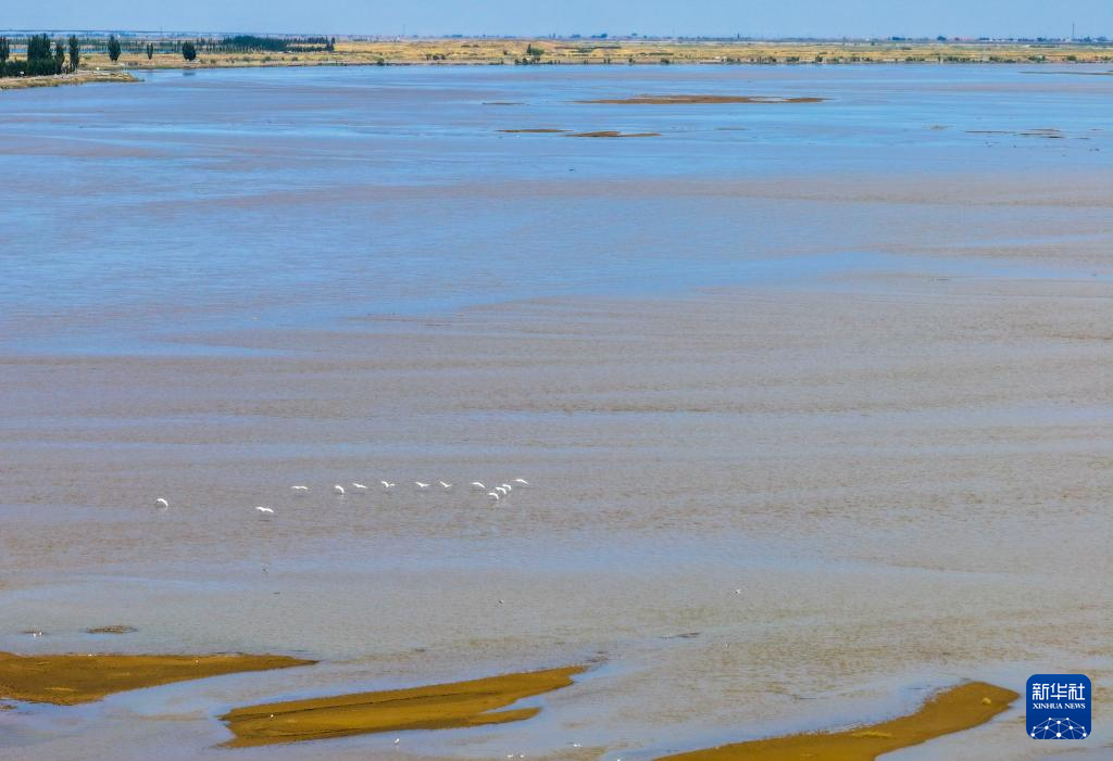 5月26日，在巴彦淖尔市临河区双河镇，水鸟飞过黄河（无人机照片）。新华社记者 连振 摄