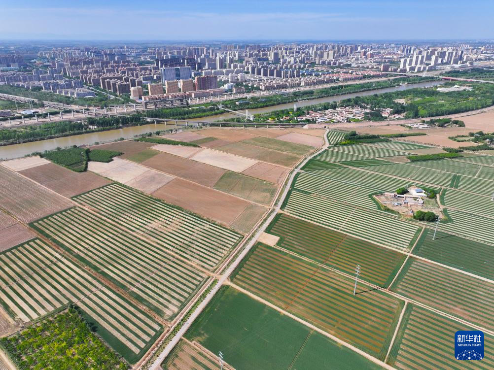 5月26日，引黄干渠从巴彦淖尔市临河区流过（无人机照片）。新华社记者 连振 摄