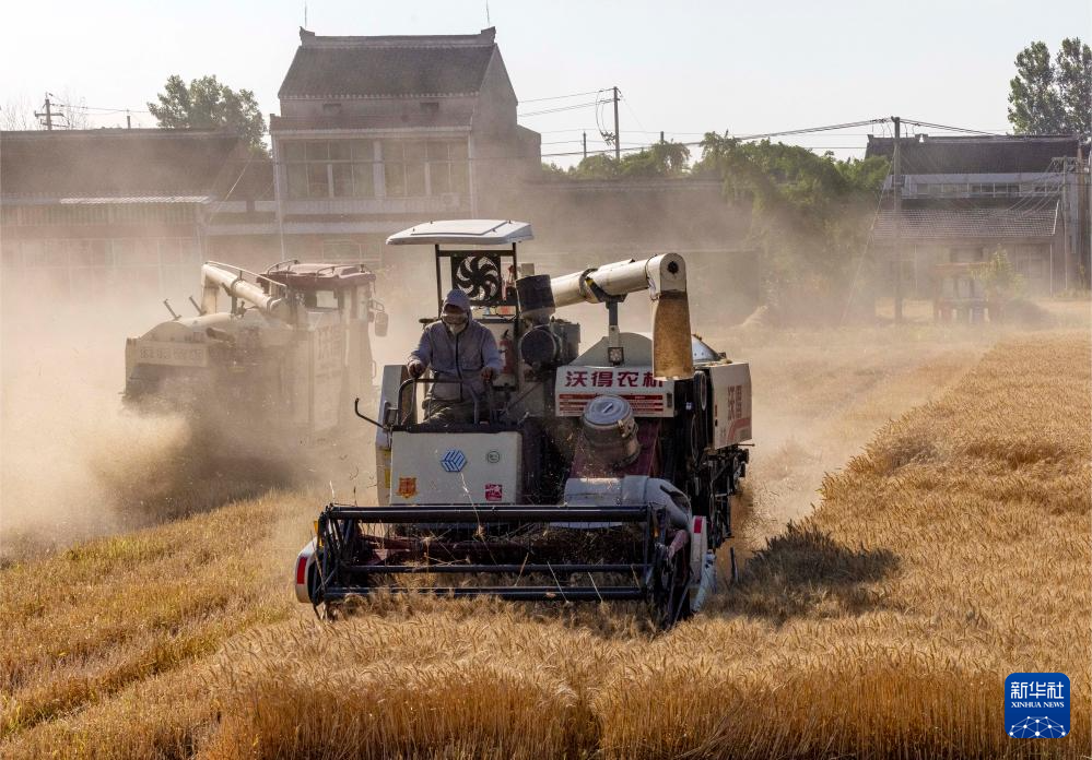 5月28日，收割机在江苏省泰兴市虹桥镇蒋华村的麦田里收获小麦。新华社发（汤德宏摄）