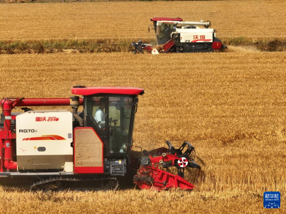 5月28日，收割机在江苏省扬州市邗江区公道镇的麦田里收获小麦（无人机照片）。新华社发（孟德龙摄）