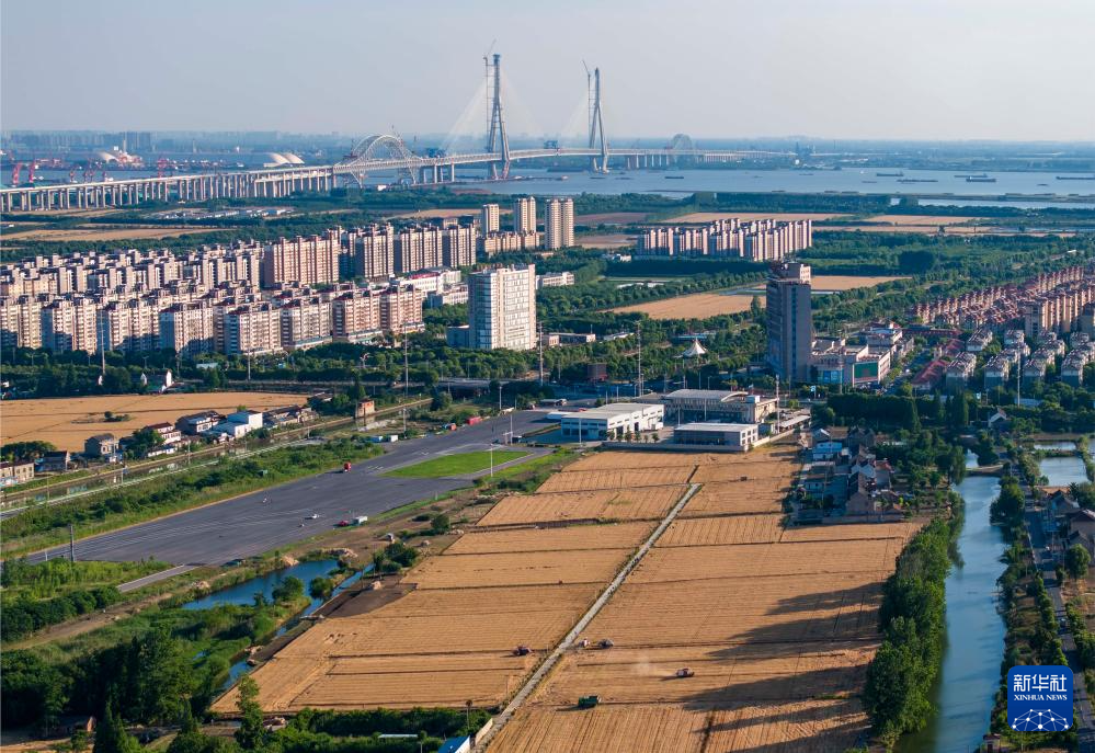 5月28日，收割机在江苏省泰兴市虹桥镇蒋华村的麦田里收获小麦（无人机照片）。新华社发（汤德宏摄）