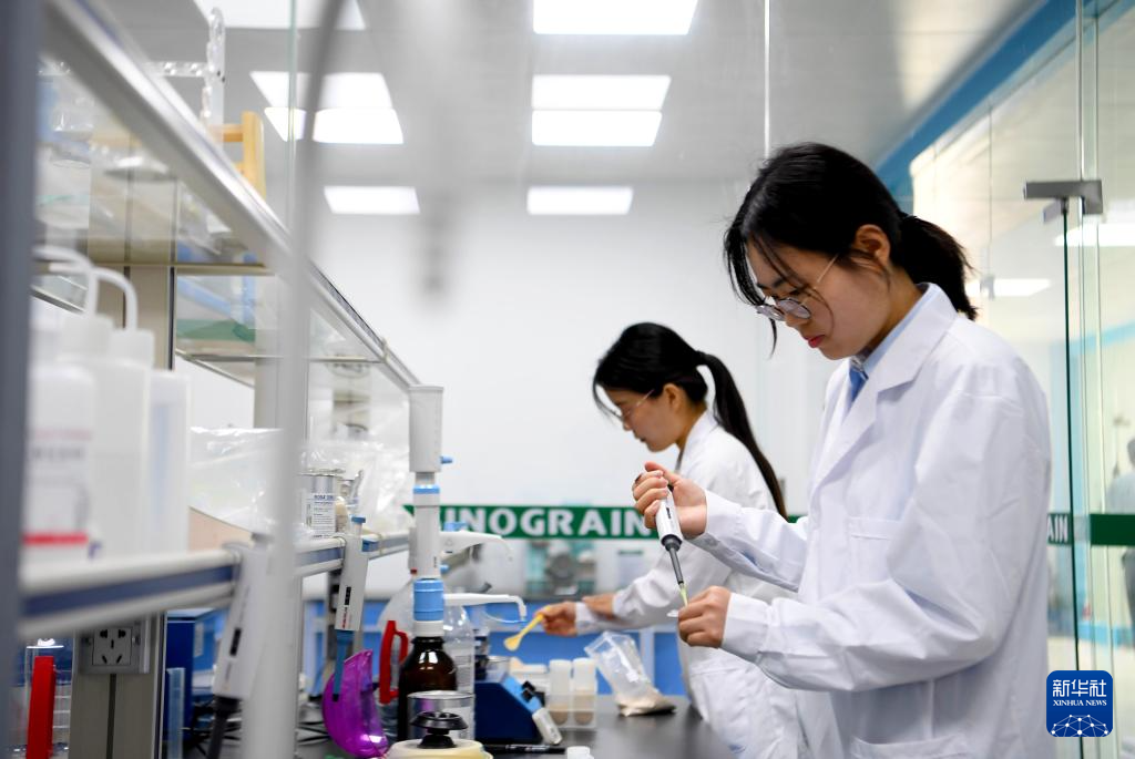 5月28日,在中央储备粮邓州直属库有限公司,质检员进行样品呕吐毒素和