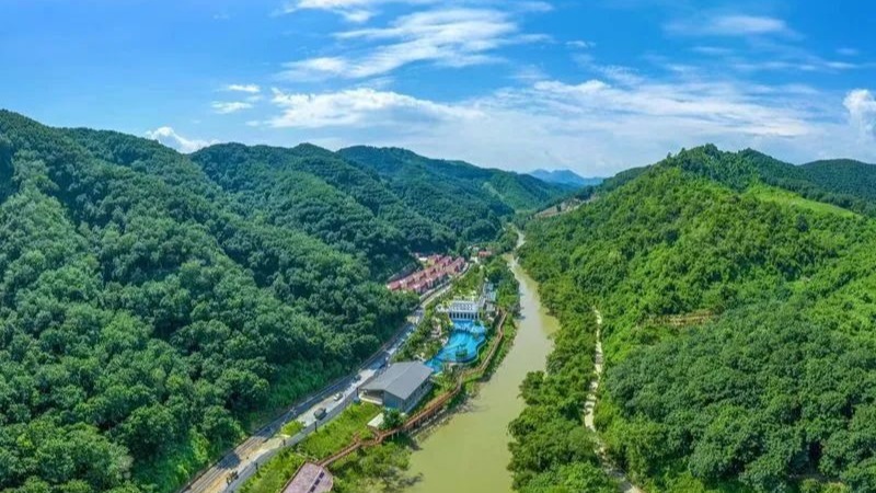 全域旅游_新华报业网