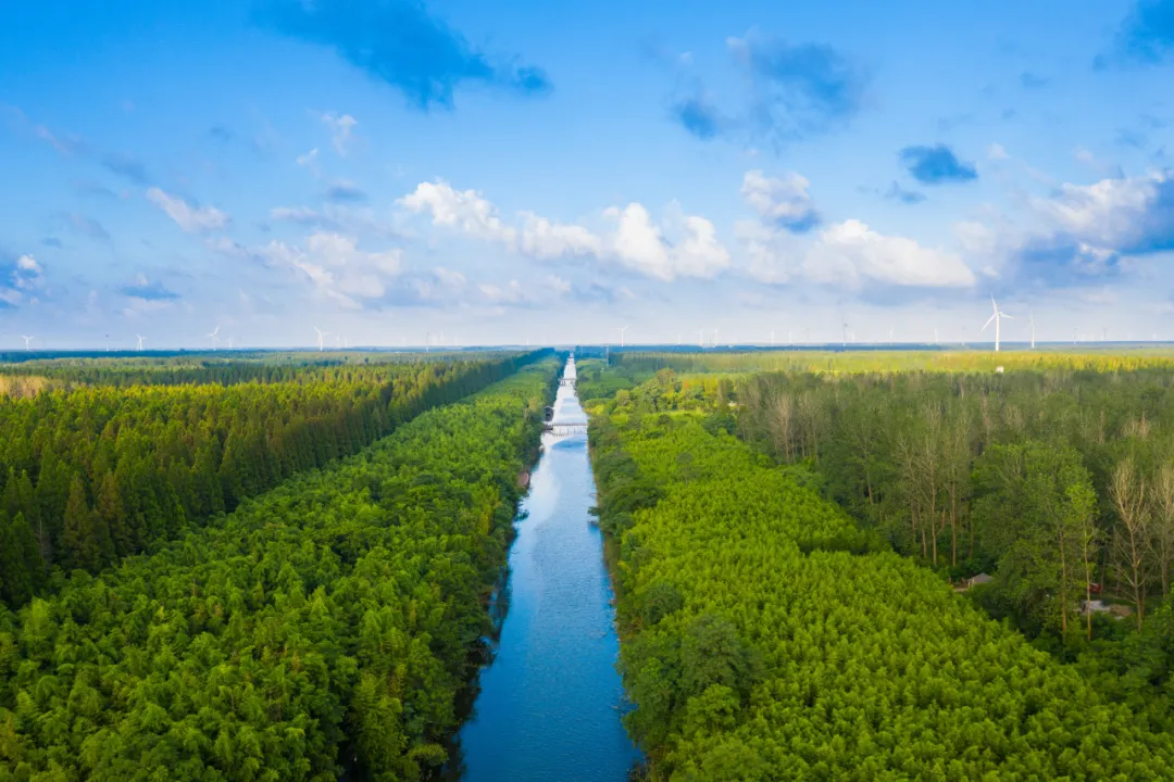 黄海森林公园:搭建"全链条"服务体系 跑出人才服务"加速度"