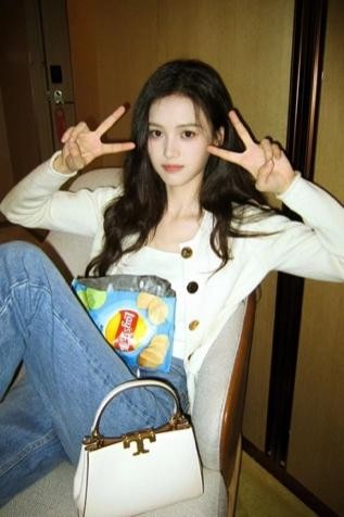 tory burch汤丽柏琦全新eleanor皮革手袋 焕新奢侈品