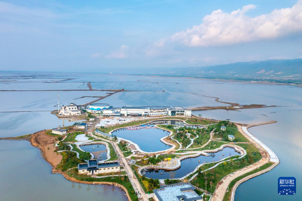 如今，漫步在盐湖的环湖步道上，空气清新、植物茂盛，成群的飞鸟在湖面上嬉戏。