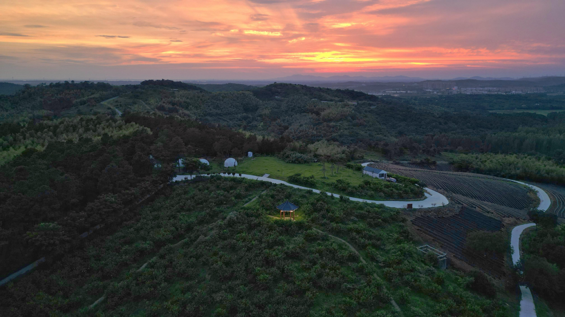 b3e7dd9846752ea22460a5514dddd91