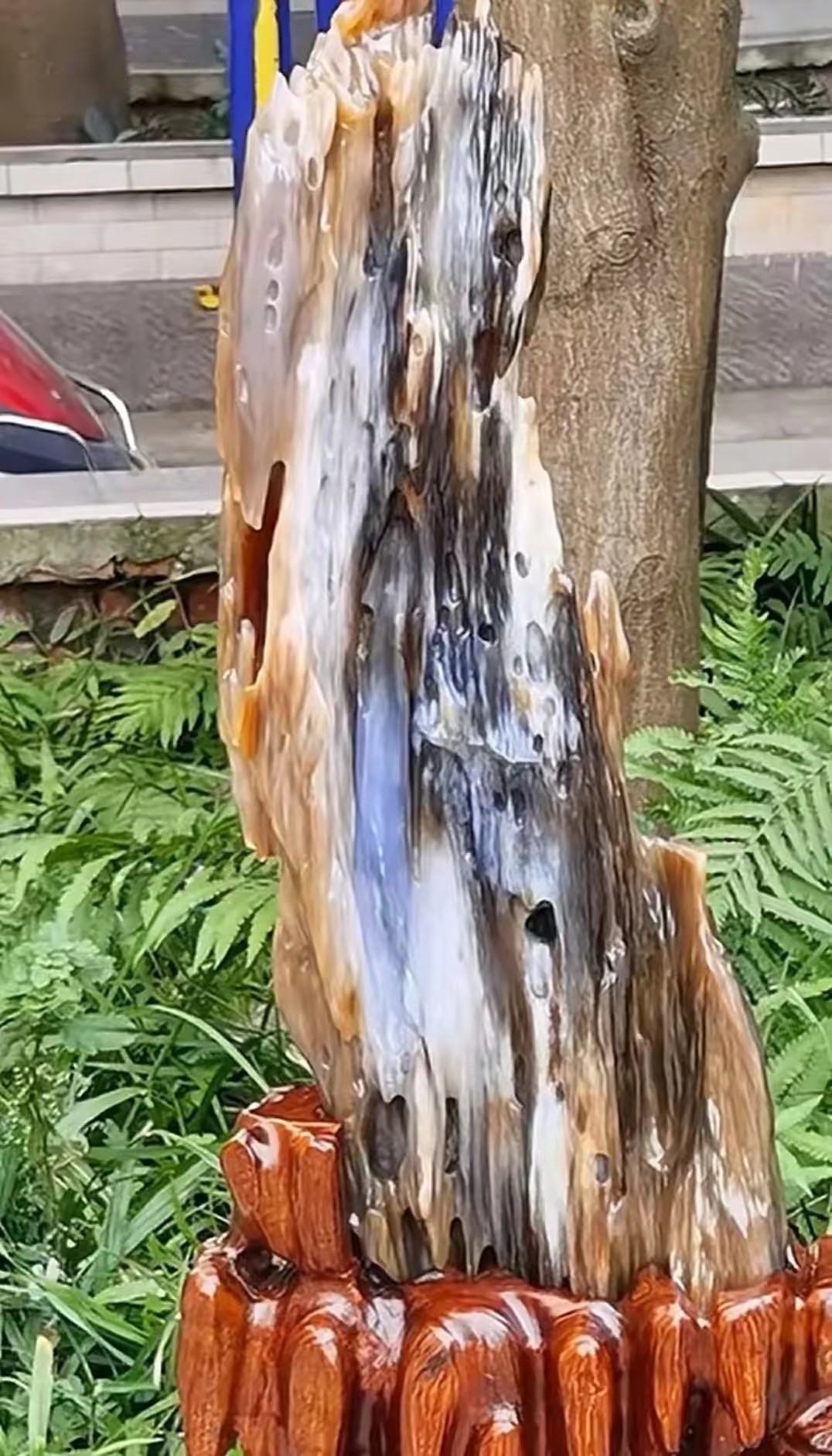 树化玉(收藏品)科普