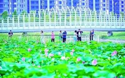 黄河臂弯揽青绿——山西运城做好盐湖及城市生态保护和绿色发展的探索与启示 黄河臂弯揽青绿——山西运城做好盐湖及城市生态保护和绿色发展的探索与启示
