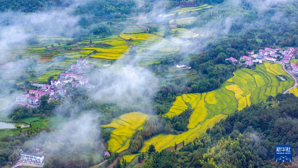 图为8月19日在兴隆镇三山村拍摄的“云上梯田”（无人机照片）。